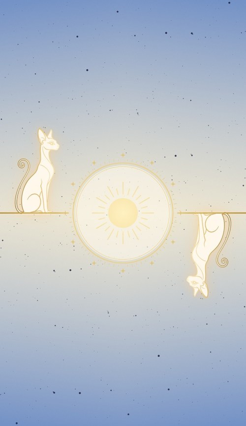 Card back of the Light deck: the white cat on the gold line, the Sun inside the zodiac ring